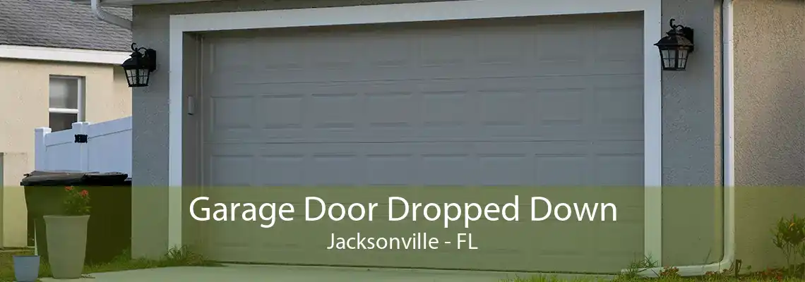 Garage Door Dropped Down Jacksonville - FL