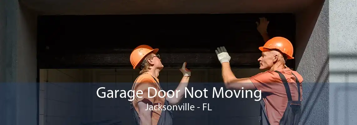 Garage Door Not Moving Jacksonville - FL