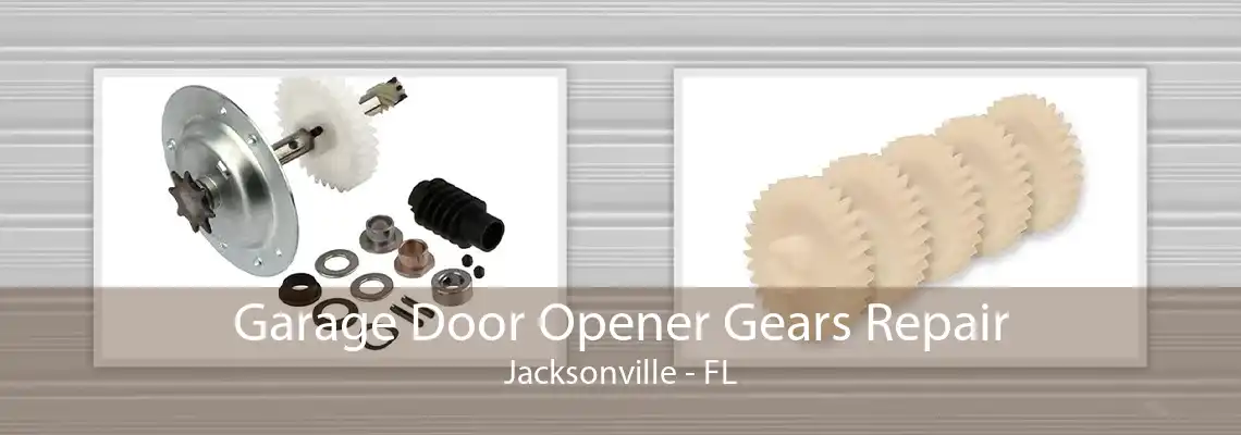 Garage Door Opener Gears Repair Jacksonville - FL