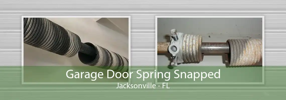 Garage Door Spring Snapped Jacksonville - FL