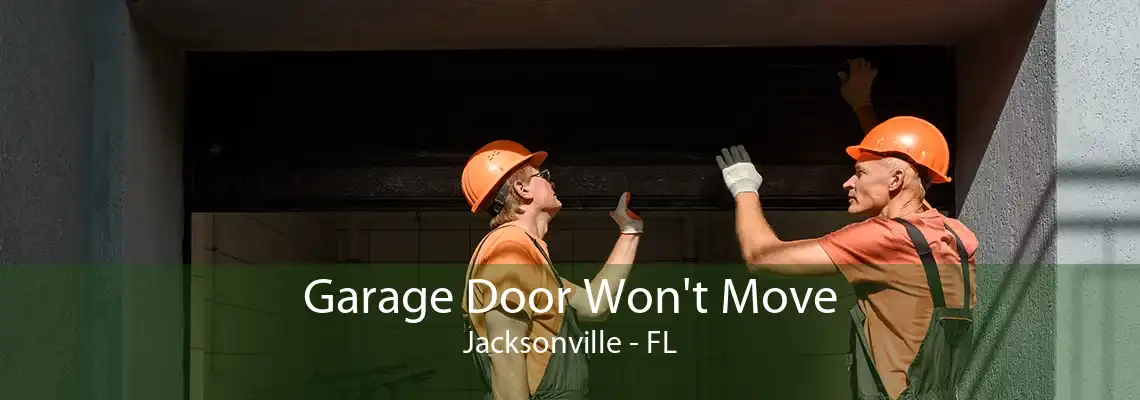 Garage Door Won't Move Jacksonville - FL